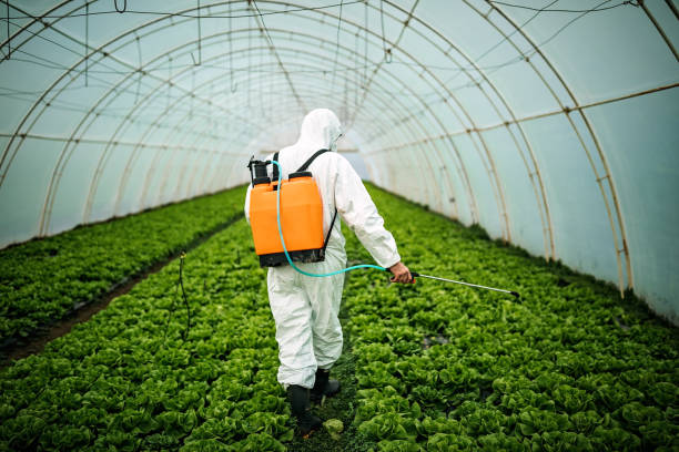 Best Best Pest Control Companies  in Milan, TN