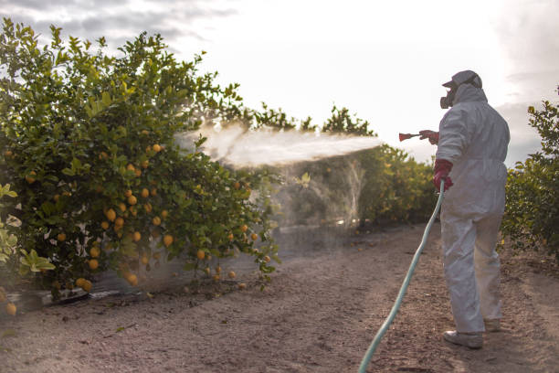 Best Mosquito Control Services  in Milan, TN