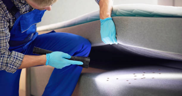 Wasp Removal Services in Milan, TN
