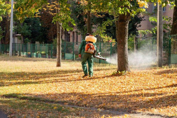 Best Residential Pest Control  in Milan, TN